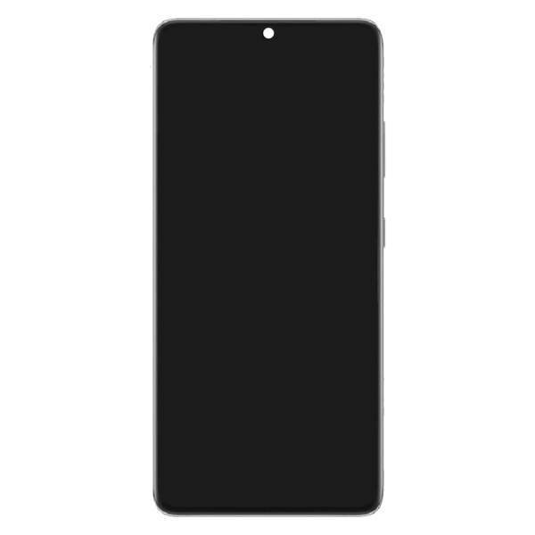 18B-OLED-LCD-Screen-For-Samsung-Galaxy-S21-Ultra-5G-G998-Silver-With-Frame