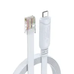 17A Type C to RJ45 Ethernet Cable