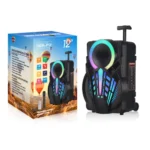 41A-NDR-P12-12-inch-Bluetooth-Party-Speaker-With-Mic.webp