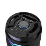 21C ZQS6201 Speaker