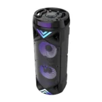 21D ZQS6201 Speaker
