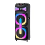 NDR-2250 High Power 12 Inch WirleeBluetooth Speaker - 1